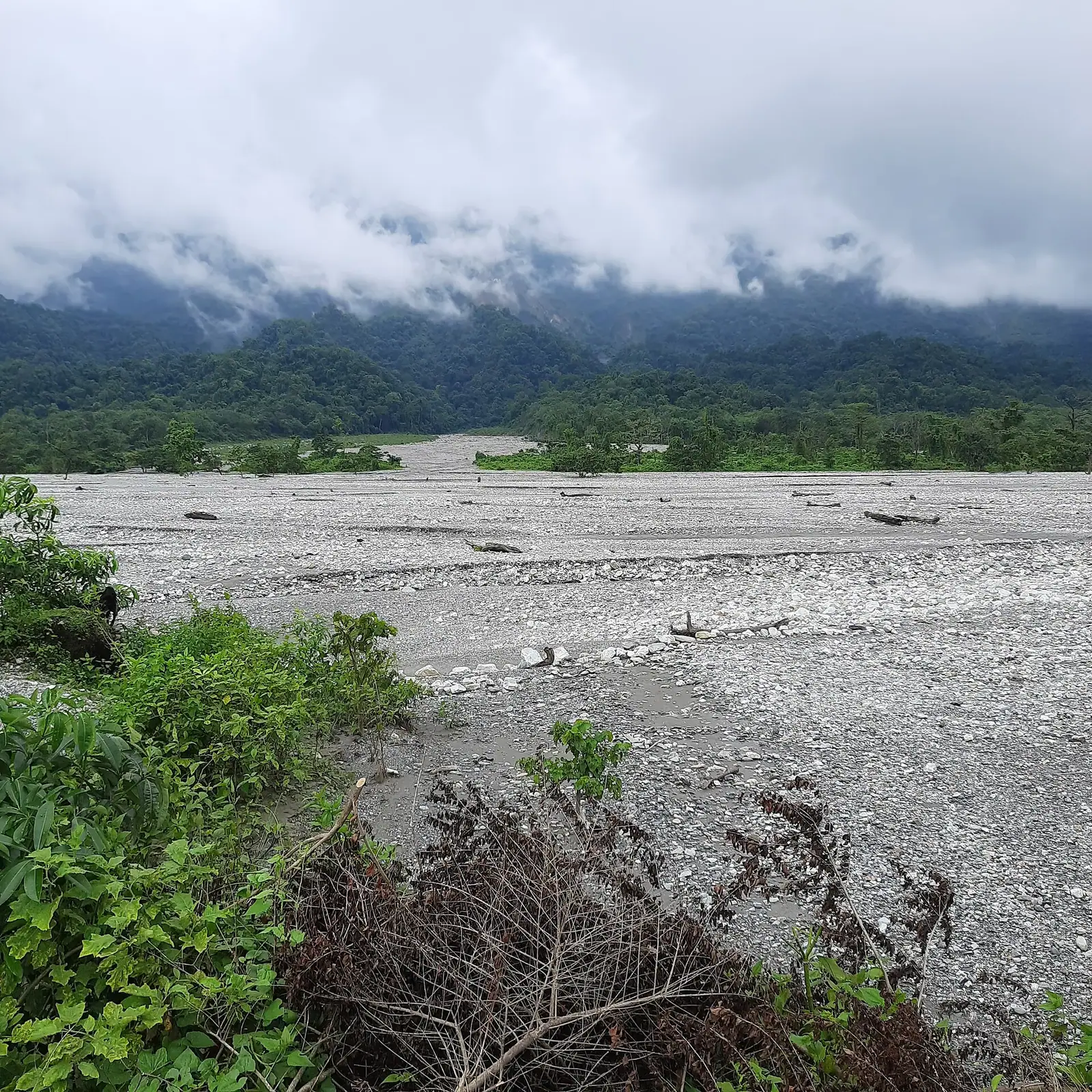 Jayanti riverbed below the Bhutan hills in Buxa Tiger Reserve