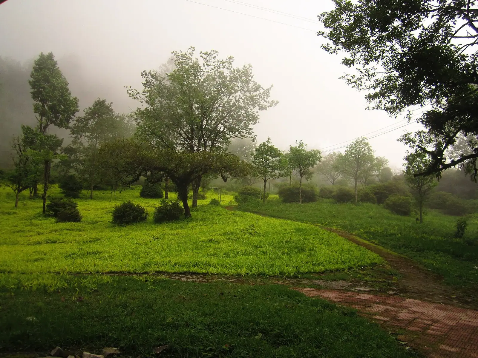 Neora Valley National Park