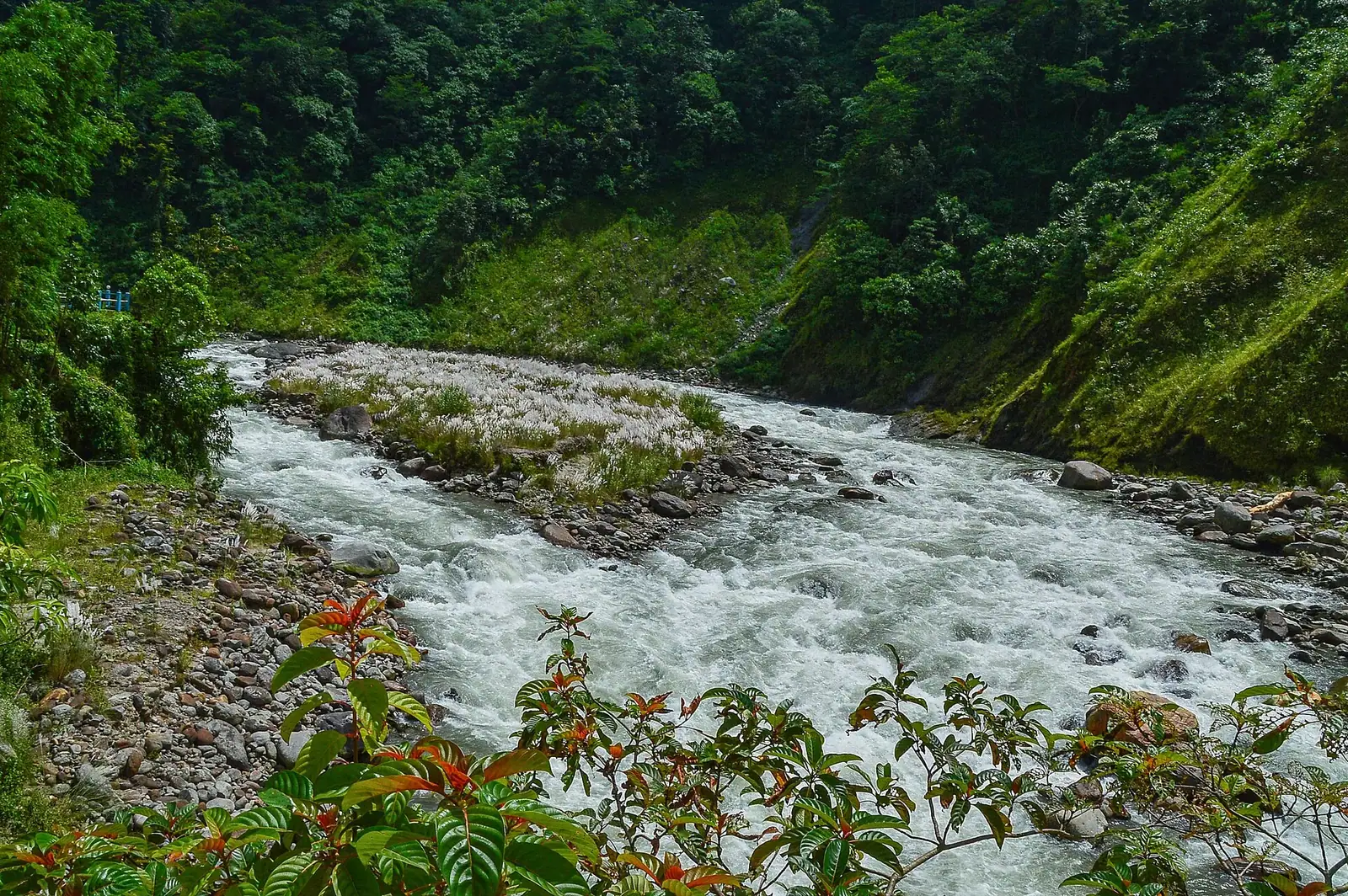 Chel River — photograph 2