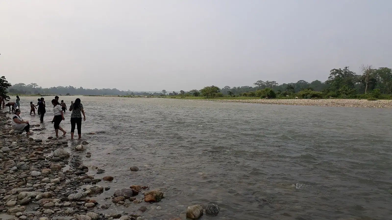 The Murti river flowing through sal forest in the Dooars