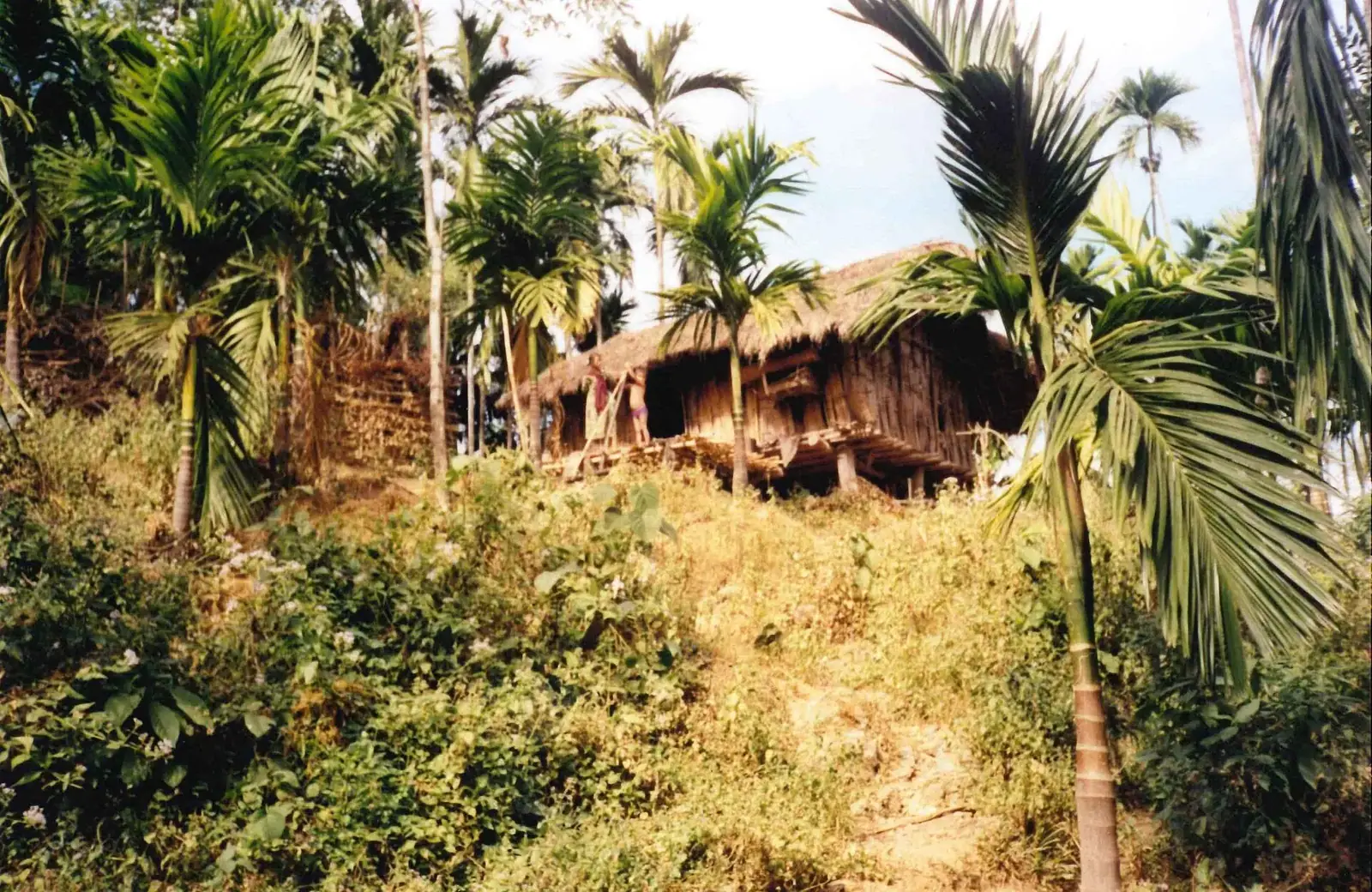 Village Tourism