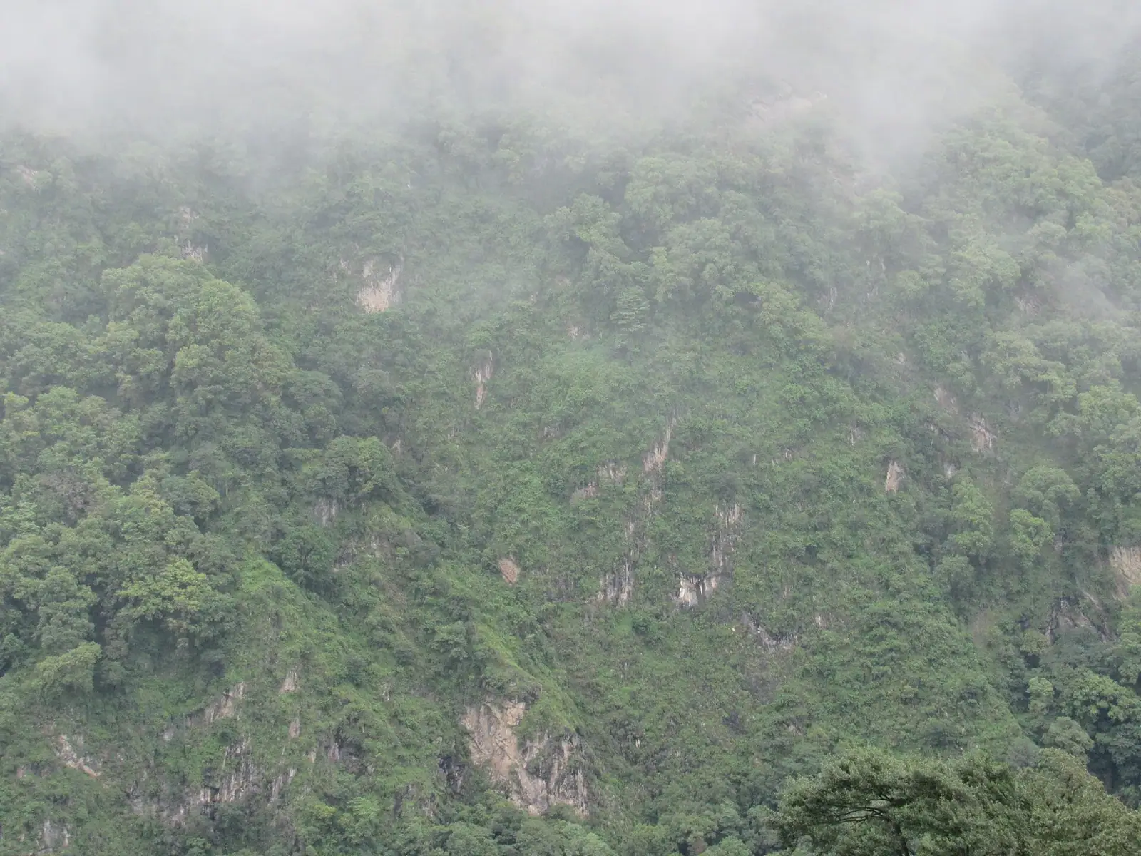 Raidak River — photograph 3