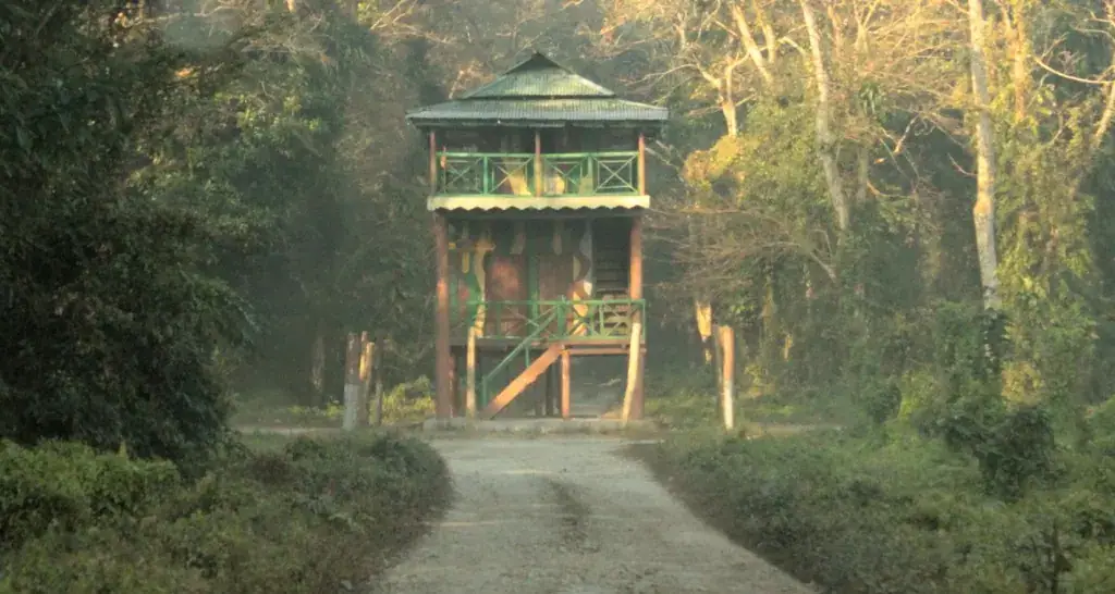 Chilapata Forest — photograph 5