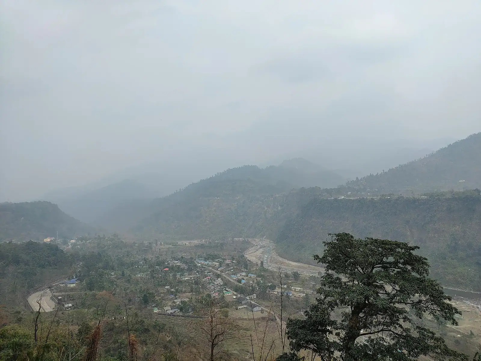 Bindu