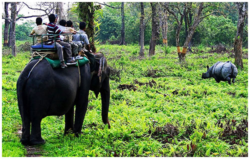 Chapramari Wildlife Sanctuary