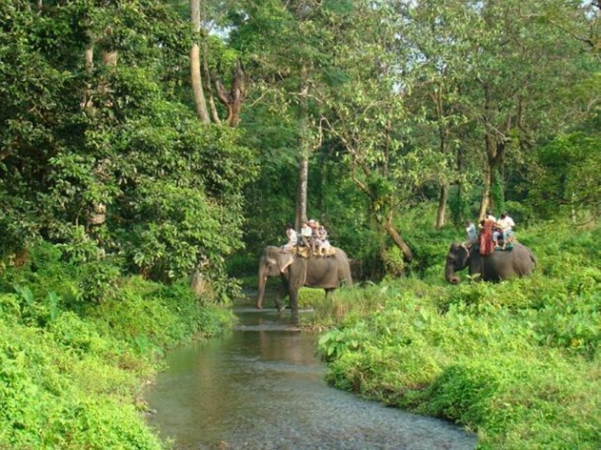 Gorumara National Park
