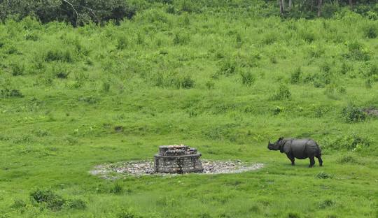 Gorumara National Park